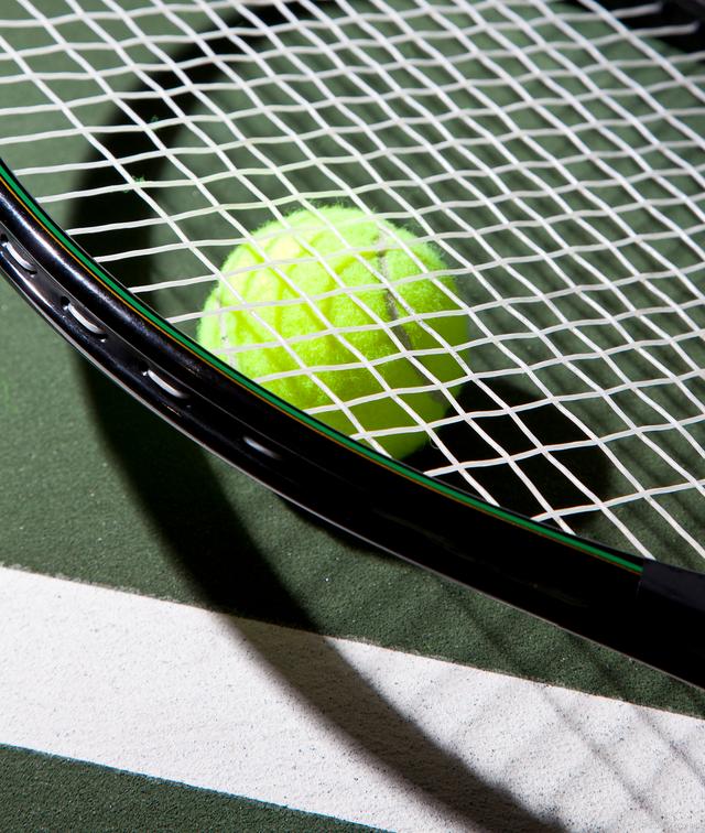 的迅速成长 的迅速成长